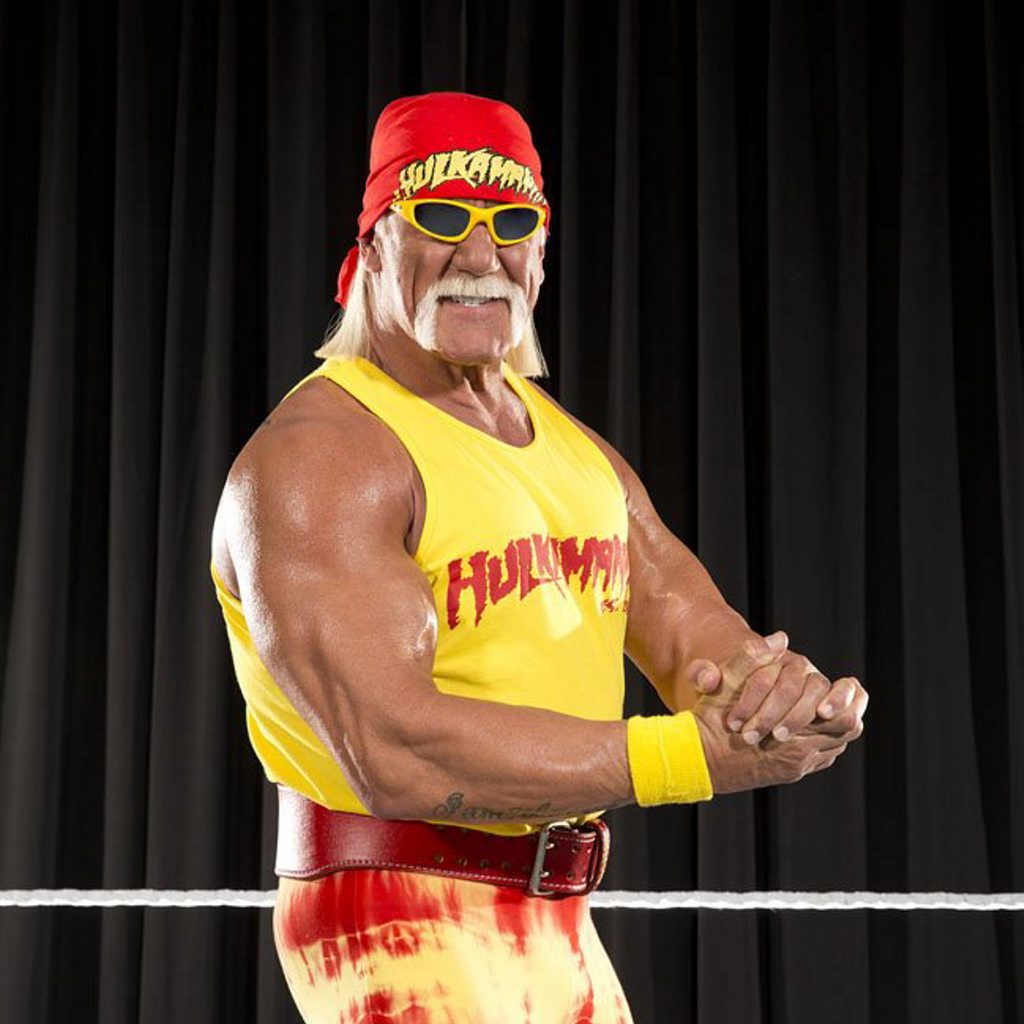 Hulk Hogan Hulk Hogan